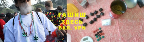 гашик Дмитров