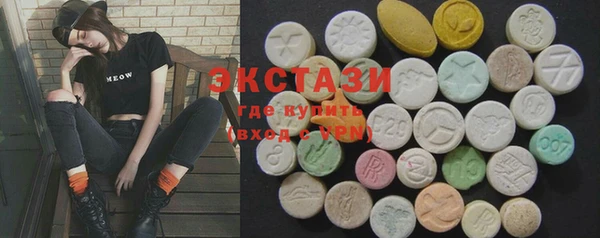 гашик Дмитров