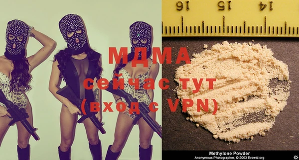 гашик Дмитров