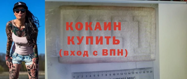 прущие грибы Дмитровск