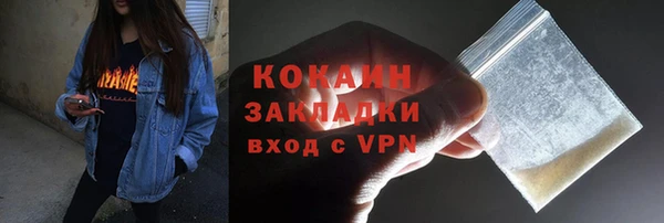 прущие грибы Дмитровск