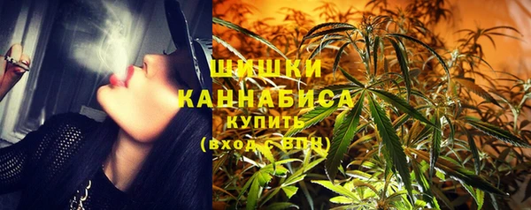 прущие грибы Дмитровск