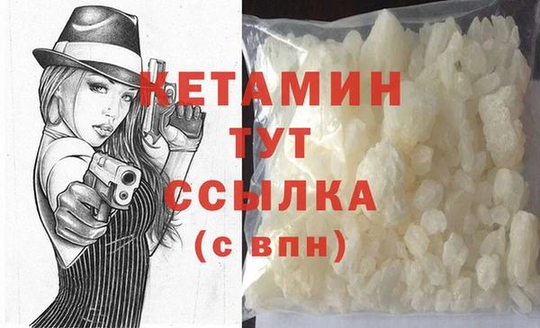 прущие грибы Дмитровск