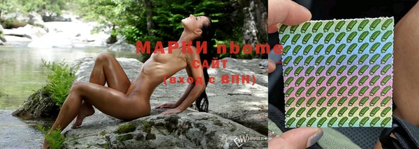 гашик Дмитров