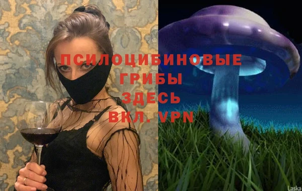 гашик Дмитров