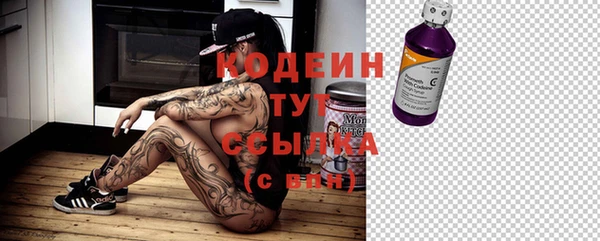 гашик Дмитров