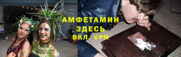 прущие грибы Дмитровск