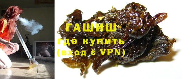 гашик Дмитров