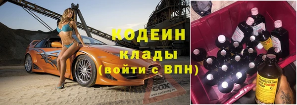 прущие грибы Дмитровск