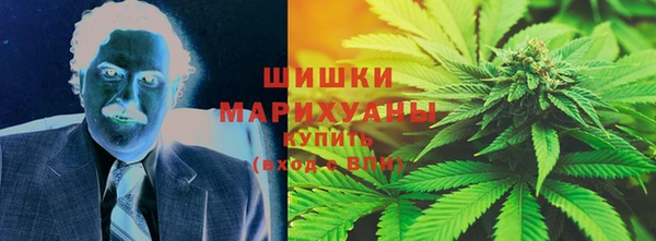 прущие грибы Дмитровск
