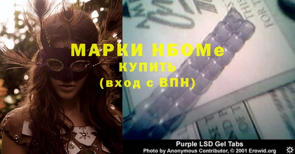 прущие грибы Дмитровск