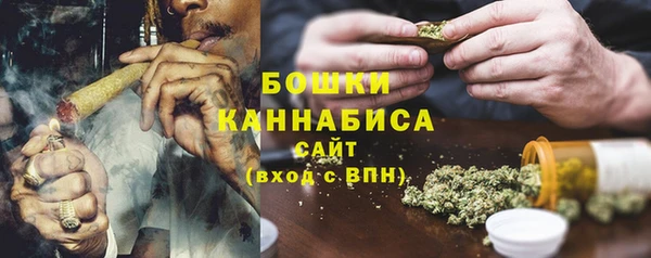 гашик Дмитров