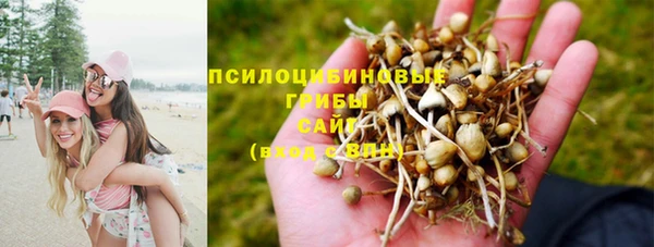Альфа ПВП Ступино