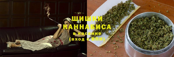 гашик Дмитров