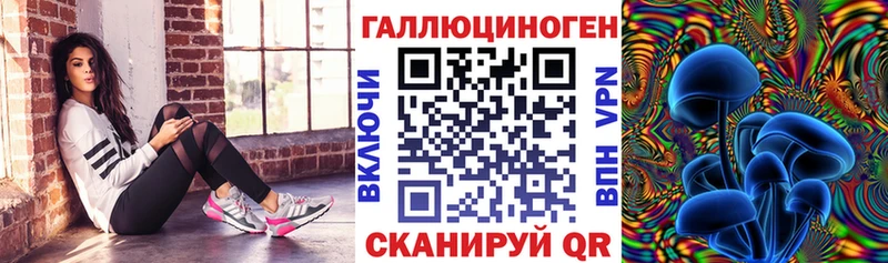 Галлюциногенные грибы Psilocybine cubensis как найти закладки Майский